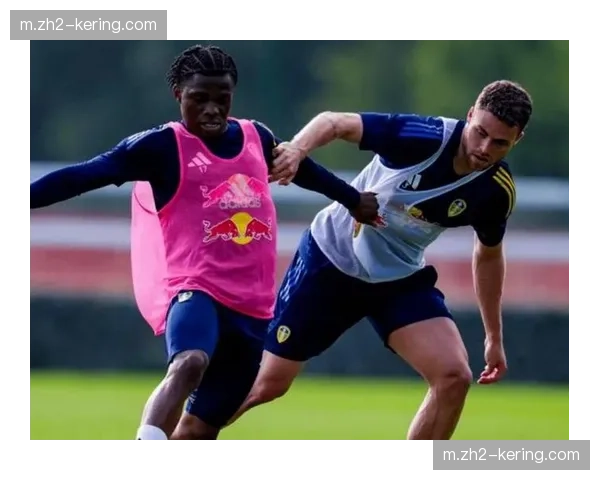 纽卡面临波特曼舍尔吉马良斯七人缺阵 轮换空间受限